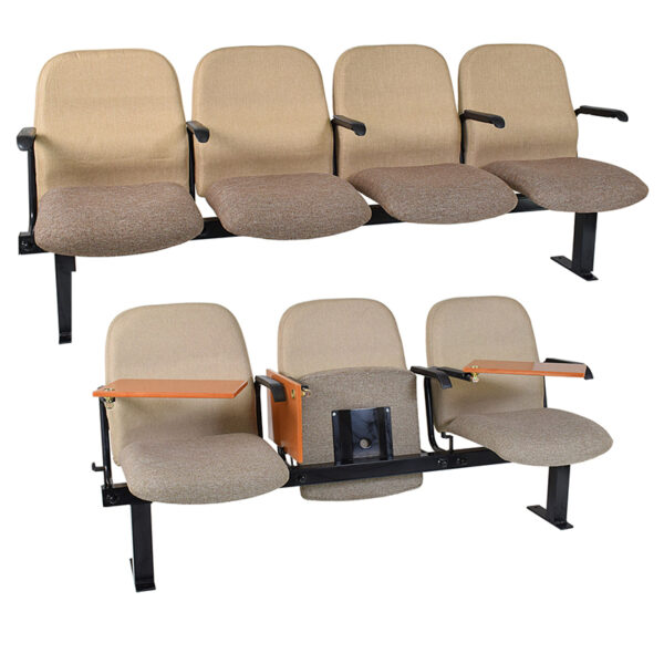 AUDITORIUM SEATING 2
